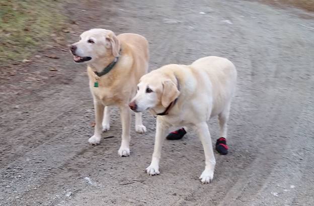 sandy with boots